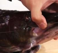 How to clean pike from bones for cutlets