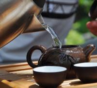 Beskrivning av sencha-te och dess medicinska egenskaper